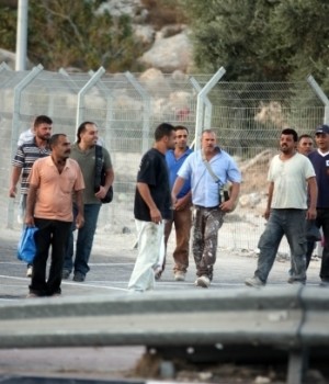 الحق في العمل &hellip; الأراضي الفلسطينية المحتلة