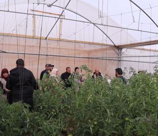 نأكل مما نزرع