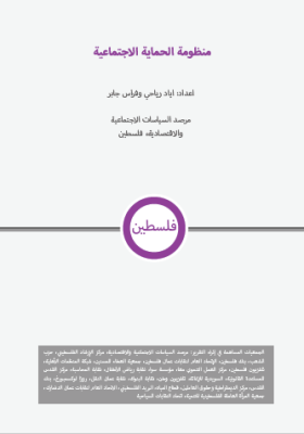 منظومة الحماية الاجتماعية