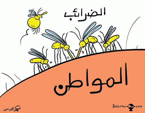 الأنظمة الضريبية المغرب، الأردن، لبنان، فلسطين
